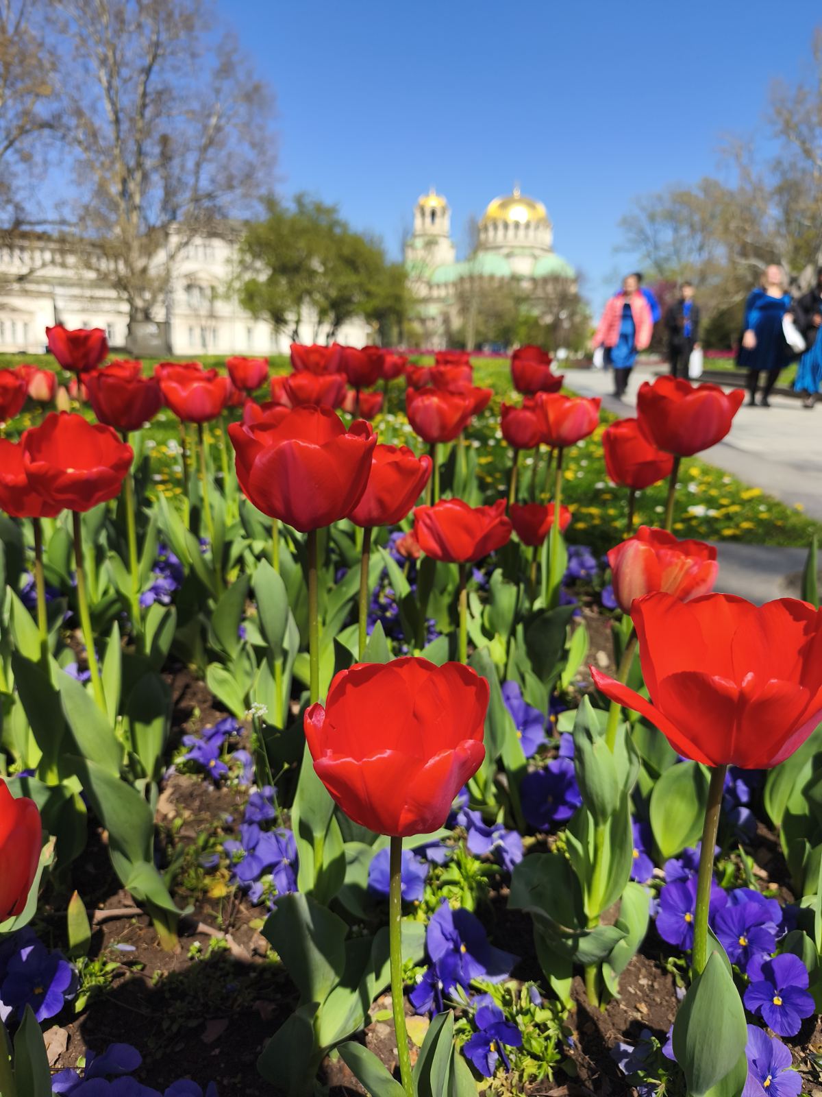 viber_kép_2026-04-19_11-38-23-037